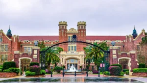 Aerolineas Argentinas VDM Terminal – Gobernador Castello Airport